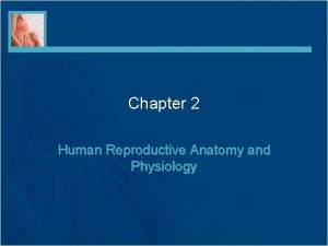 Chapter 2 Human Reproductive Anatomy and Physiology The