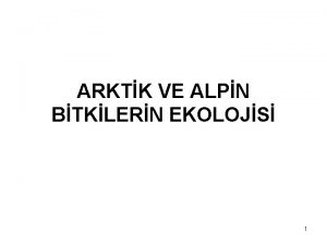 ARKTK VE ALPN BTKLERN EKOLOJS 1 Alpin ve