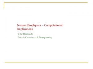 Neuron Biophysics Computational Implications Rohit Manchanda School of