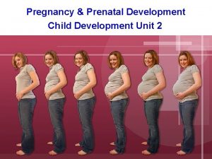 Pregnancy Prenatal Development Child Development Unit 2 Pregnancy