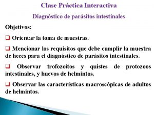 Clase Prctica Interactiva Diagnstico de parsitos intestinales Objetivos