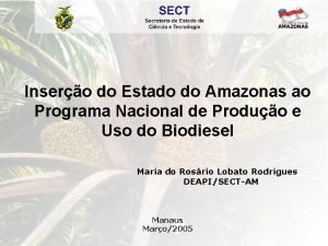 Insero do Estado do Amazonas ao Programa Nacional