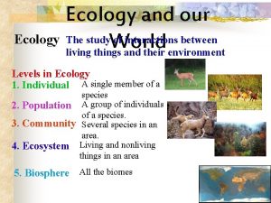 Ecology and our of interactions between Ecology The