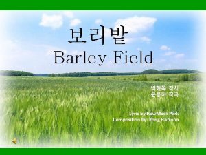 Barley Field Lyric by Haw Mock Park Composition