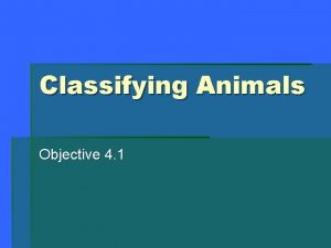 Classifying Animals Objective 4 1 Characteristics of Animals