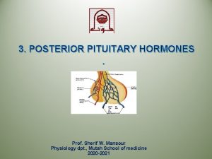 3 POSTERIOR PITUITARY HORMONES Prof Sherif W Mansour