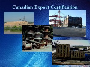Canadian Export Certification Wood Product Export Policies D03