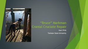 Bruce Markman Cranial Cruciate Repair Gerri Pritt Tarleton