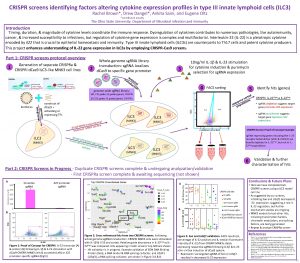 CRISPR screens identifying factors altering cytokine expression profiles