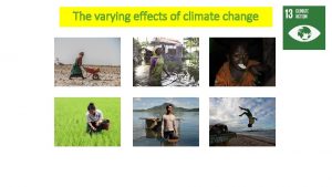 The varying effects of climate change What What