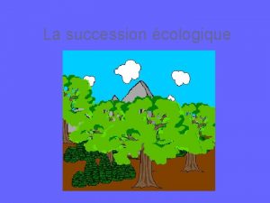 La succession cologique La succession cologique Le remplacement