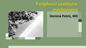 Peripheral vestibular mechanisms Domina Petric MD Vestibular function