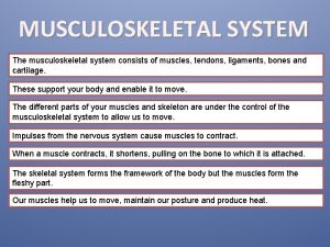 MUSCULOSKELETAL SYSTEM The musculoskeletal system consists of muscles