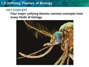 1 2 Unifying Themes of Biology KEY CONCEPT