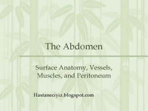 The Abdomen Surface Anatomy Vessels Muscles and Peritoneum