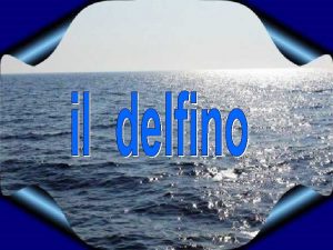 Il delfino animale tradizionalmente caro agli uomini del