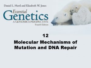 12 Molecular Mechanisms of Mutation and DNA Repair