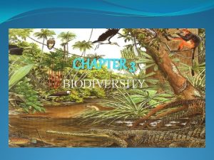 CHAPTER 3 BIODIVERSITY BIODIVERSITY Living things organisms About