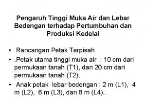 Pengaruh Tinggi Muka Air dan Lebar Bedengan terhadap