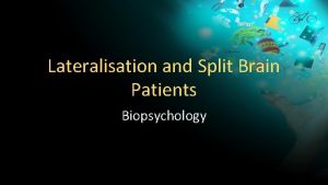 Lateralisation and Split Brain Patients Biopsychology Objectives To