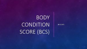 BODY CONDITION SCORE BCS IN GOATS WHAT IS