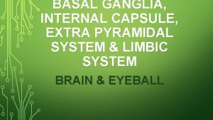 BASAL GANGLIA INTERNAL CAPSULE EXTRA PYRAMIDAL SYSTEM LIMBIC