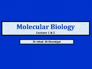 Molecular Biology Lecture 1 2 Dr Jehad AlShuneigat