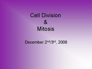 Cell Division Mitosis December 2 nd3 rd 2008