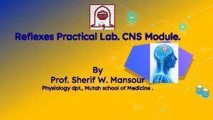 Reflexes Practical Lab CNS Module By Prof Sherif