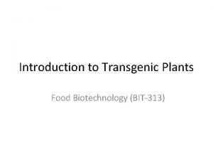 Introduction to Transgenic Plants Food Biotechnology BIT313 Todays