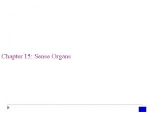 Chapter 15 Sense Organs SENSORY RECEPTORS Sensory receptors
