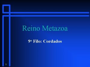 Reino Metazoa 9 o Filo Cordados 1 Caractersticas