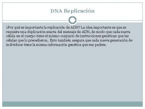 DNA Replicacin Por qu es importante la replicacin
