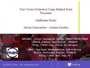 1 Tree Crown Extraction Using Marked Point Processes