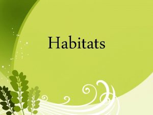 Habitats What Are Habitats A habitat is a
