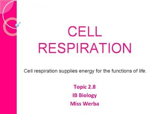 CELL RESPIRATION Cell respiration supplies energy for the