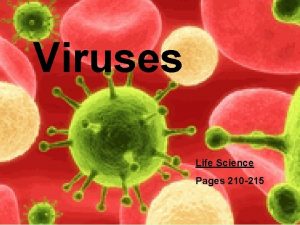 Viruses Life Science Pages 210 215 What is