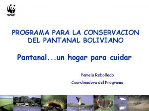 PROGRAMA PARA LA CONSERVACION DEL PANTANAL BOLIVIANO Pantanal