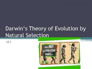 Darwins Theory of Evolution by Natural Selection 15