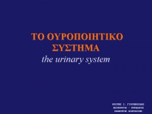 Kidneys and ureters The retroperitoneal space Proximal tubule