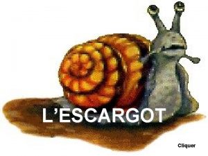 LESCARGOT Cliquer Cest lhistoire dun petit escargot qui