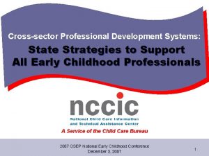 Crosssector Professional Development Systems State Strategies to Support