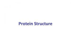 Protein Structure Protein Functions Three examples of protein