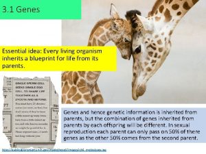 3 1 Genes Essential idea Every living organism