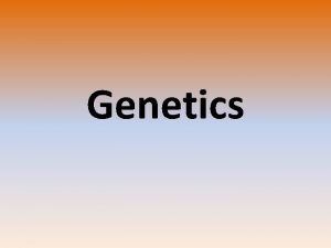 Genetics DNA GENES CHROMOSOMES Genetics Genetics the study