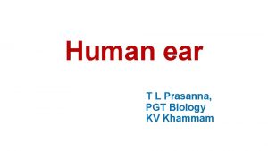 Human ear T L Prasanna PGT Biology KV