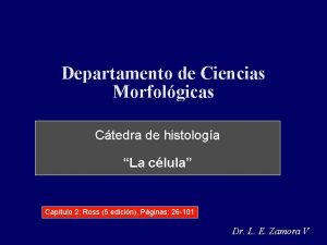 Departamento de Ciencias Morfolgicas Ctedra de histologa La