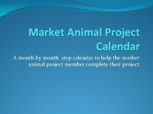 Market Animal Project Calendar A month by month