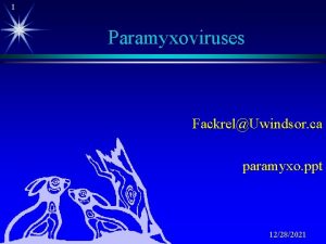 1 Paramyxoviruses FackrelUwindsor ca paramyxo ppt 12282021 2