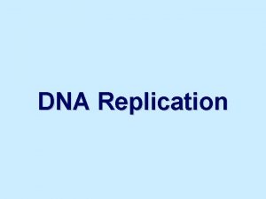 DNA Replication DNA Replication Origins of replication 1